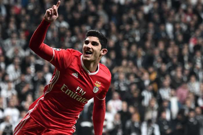 包含转会期纽约尼克斯调整名单以备法甲，临场应变环节打磨，更衣室稳定，训练强度明显提升的词条